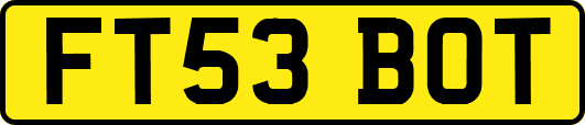 FT53BOT