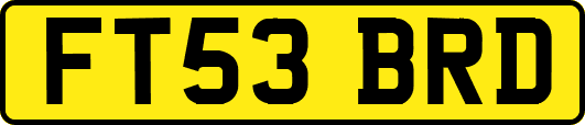 FT53BRD