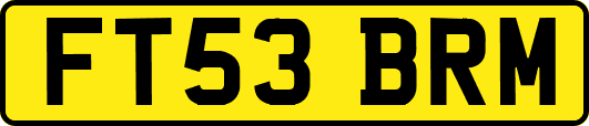 FT53BRM