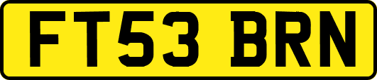 FT53BRN