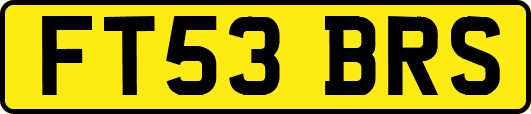 FT53BRS