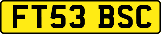 FT53BSC