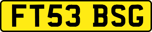 FT53BSG