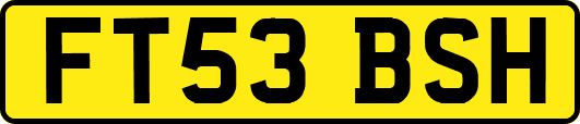 FT53BSH