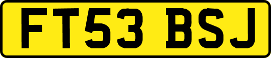 FT53BSJ