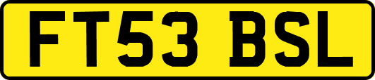 FT53BSL