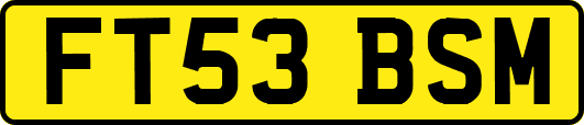 FT53BSM