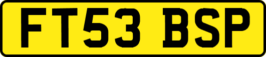 FT53BSP