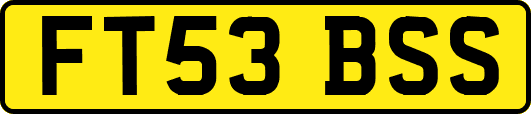 FT53BSS