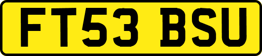 FT53BSU