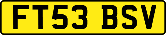 FT53BSV