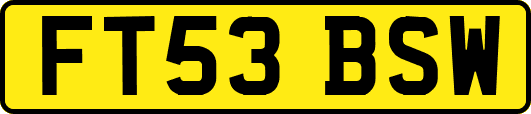 FT53BSW