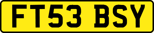 FT53BSY