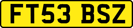 FT53BSZ