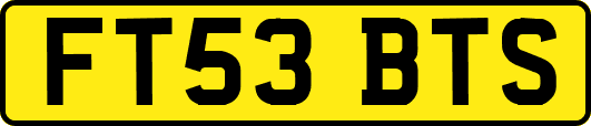 FT53BTS
