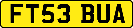 FT53BUA