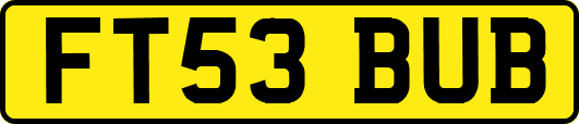 FT53BUB