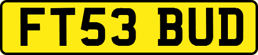 FT53BUD