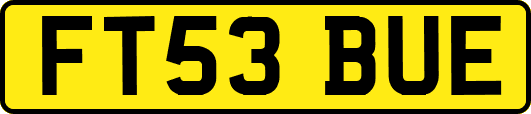 FT53BUE