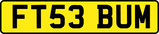FT53BUM