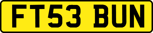 FT53BUN