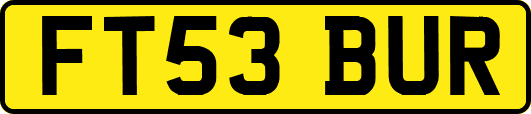 FT53BUR