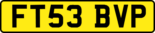 FT53BVP