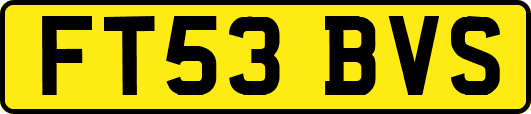 FT53BVS