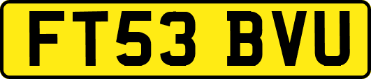 FT53BVU