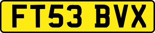 FT53BVX
