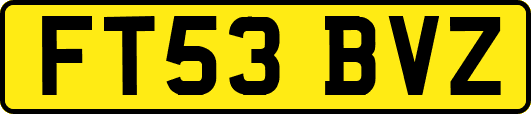 FT53BVZ