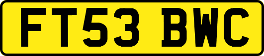 FT53BWC