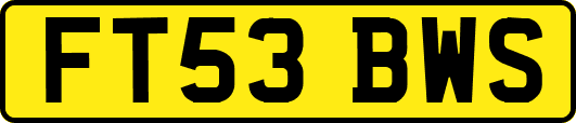 FT53BWS