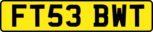 FT53BWT