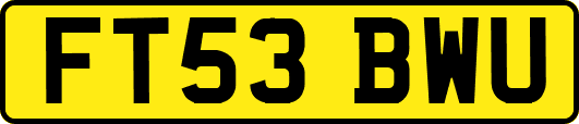 FT53BWU