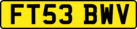 FT53BWV