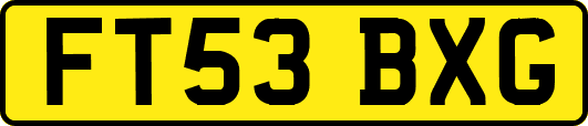 FT53BXG