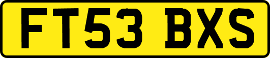 FT53BXS