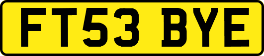 FT53BYE