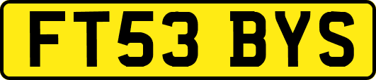 FT53BYS