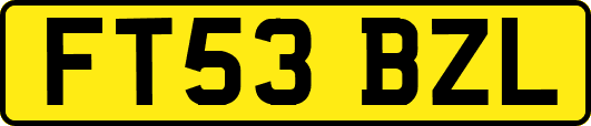 FT53BZL