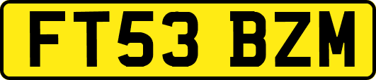 FT53BZM