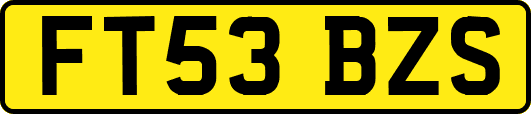 FT53BZS