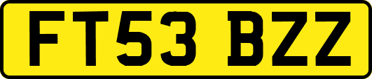 FT53BZZ