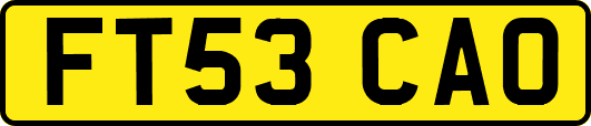 FT53CAO