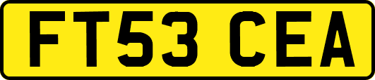 FT53CEA