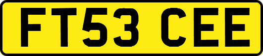 FT53CEE