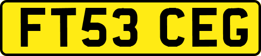 FT53CEG
