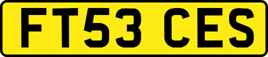 FT53CES