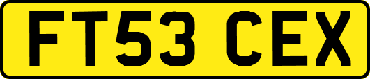 FT53CEX